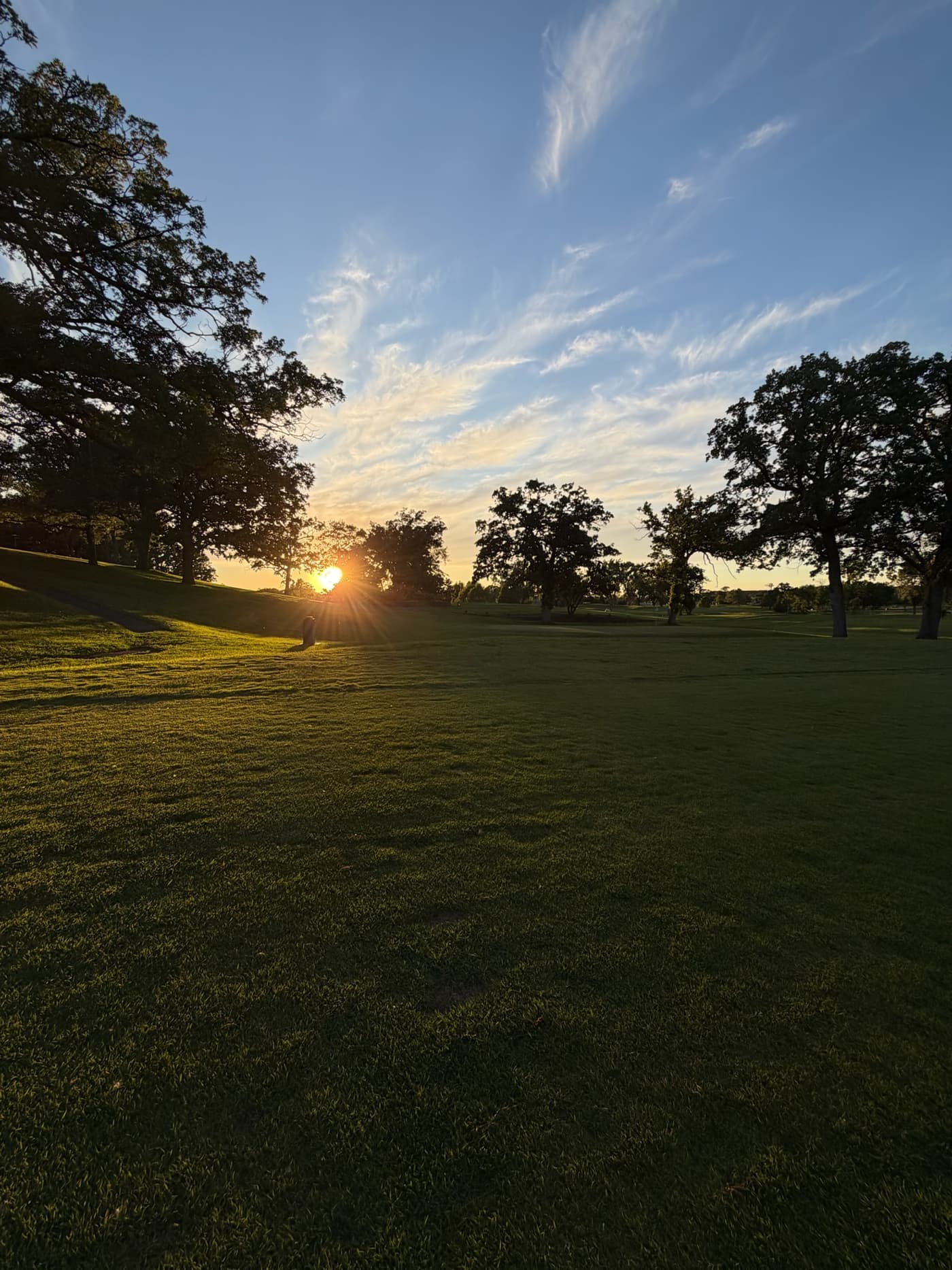 Golden evening light across the course, a path curving between oaks